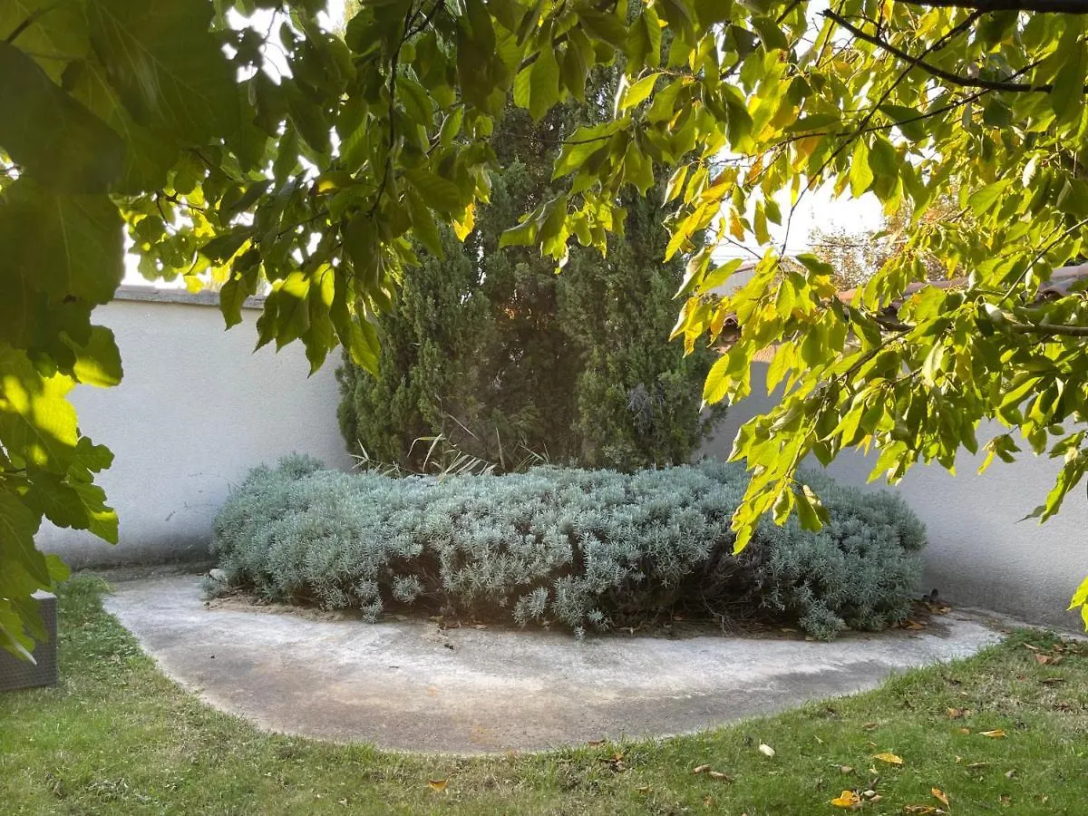 Studio Les Petits Lutins Entraigues-sur-la-Sorgue 아파트
